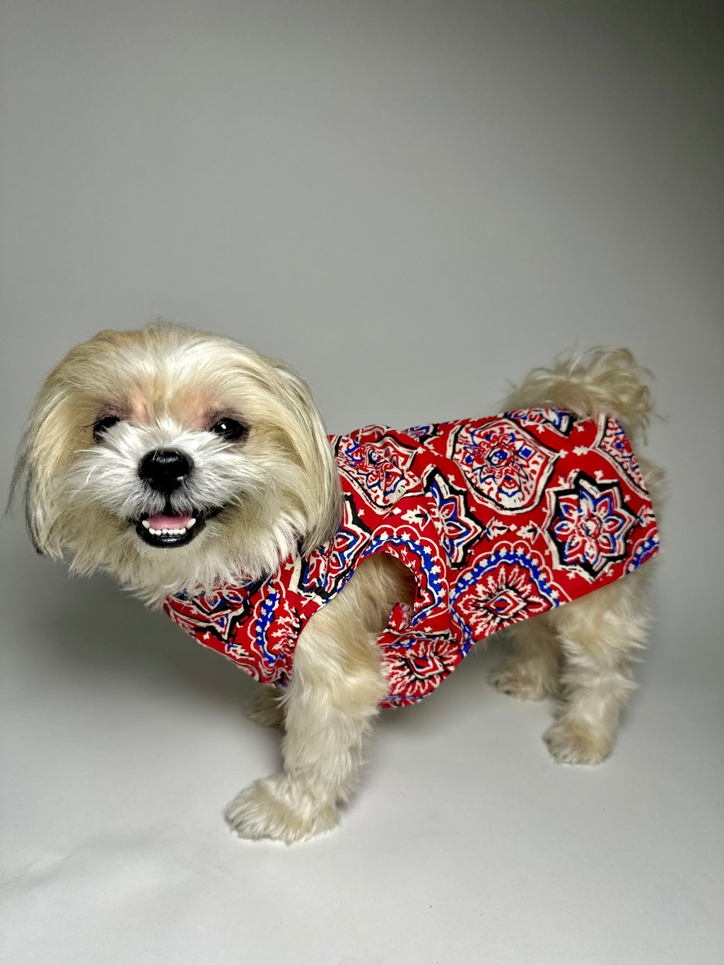 Rangini cotton bandhgala with Taamara kurta