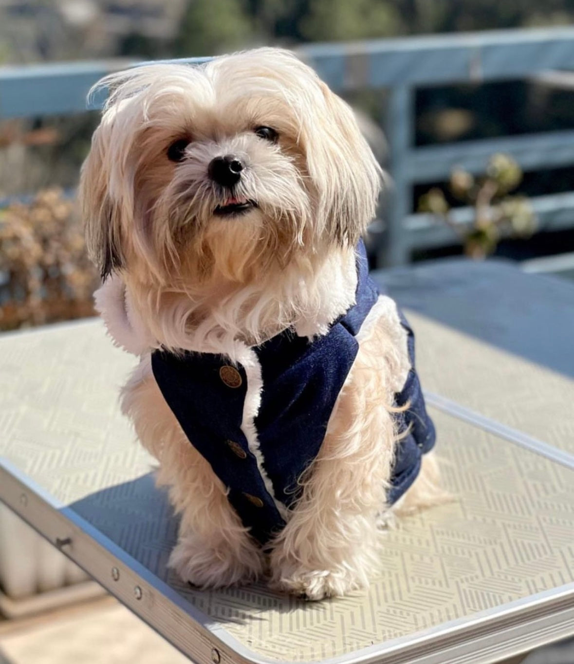 Fur Denim jacket