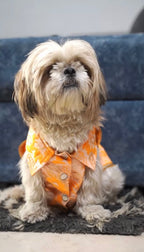 Orange brocade bandhgala