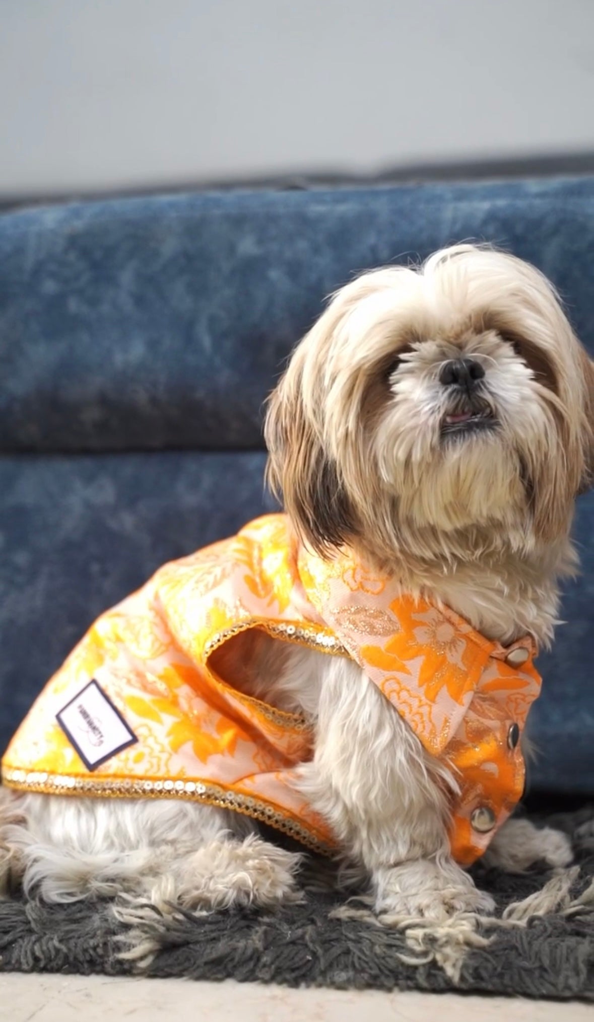 Orange brocade bandhgala