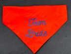 Team Bride