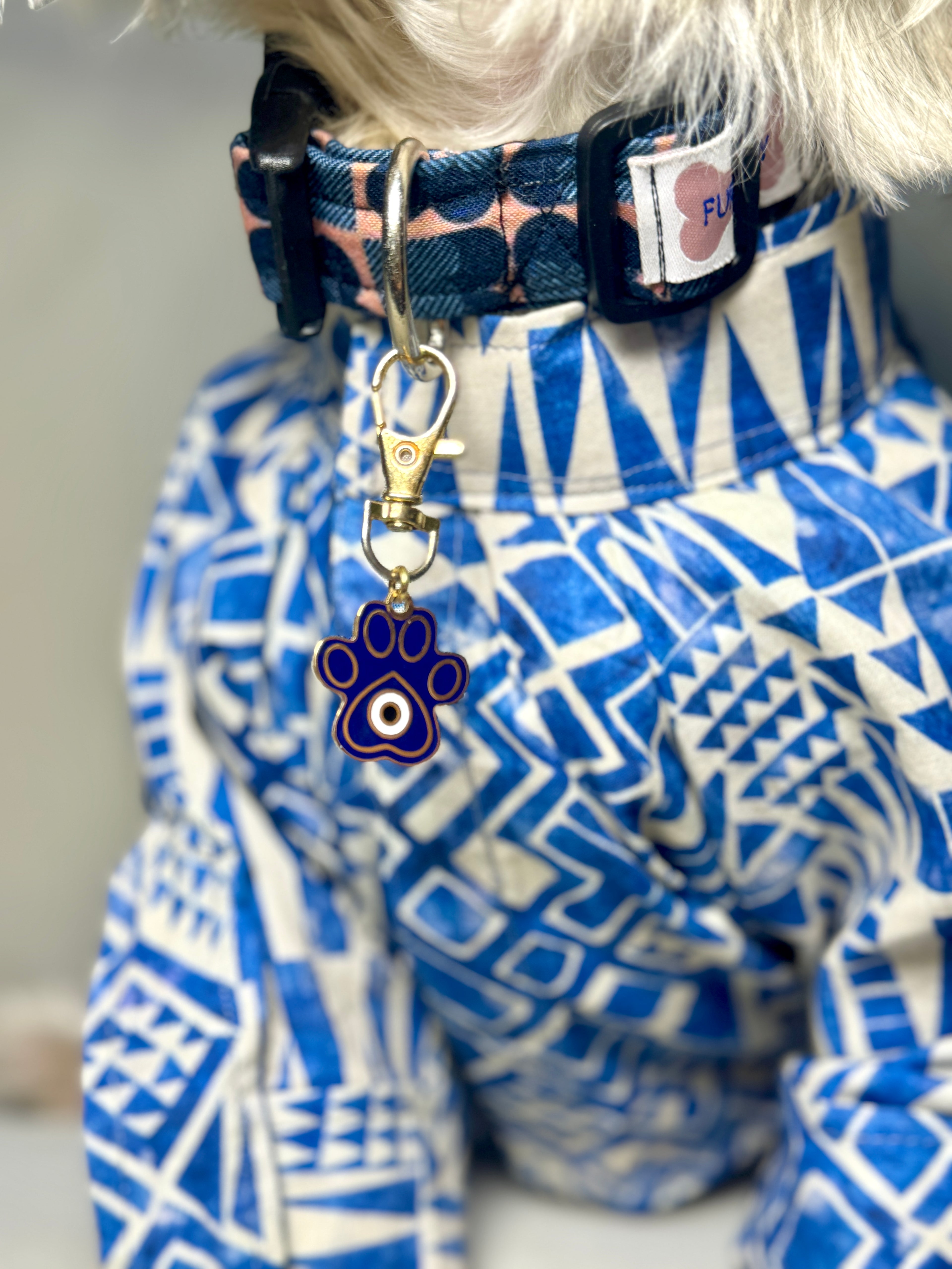 Evil Eye Paw Charm