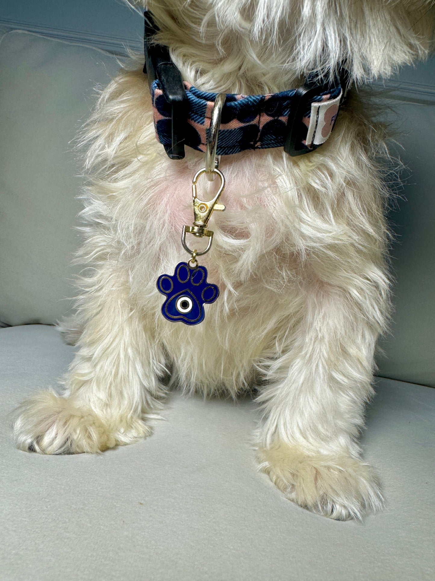 Evil Eye Paw Charm