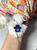 Evil Eye Paw Charm rakhi