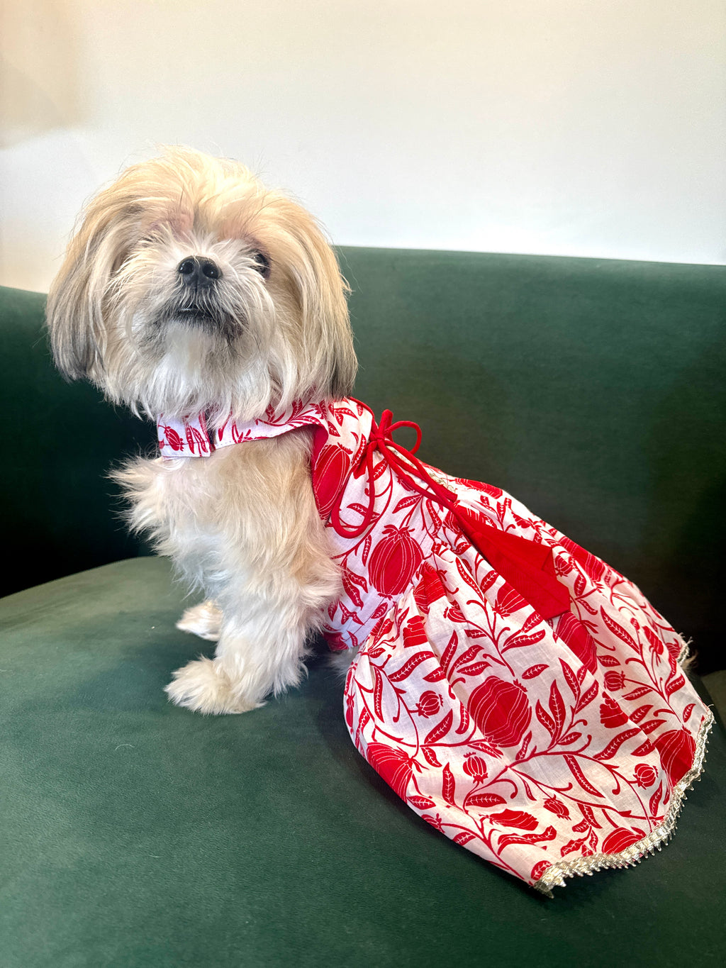 Taamara agrakha dress