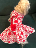 Taamara agrakha dress