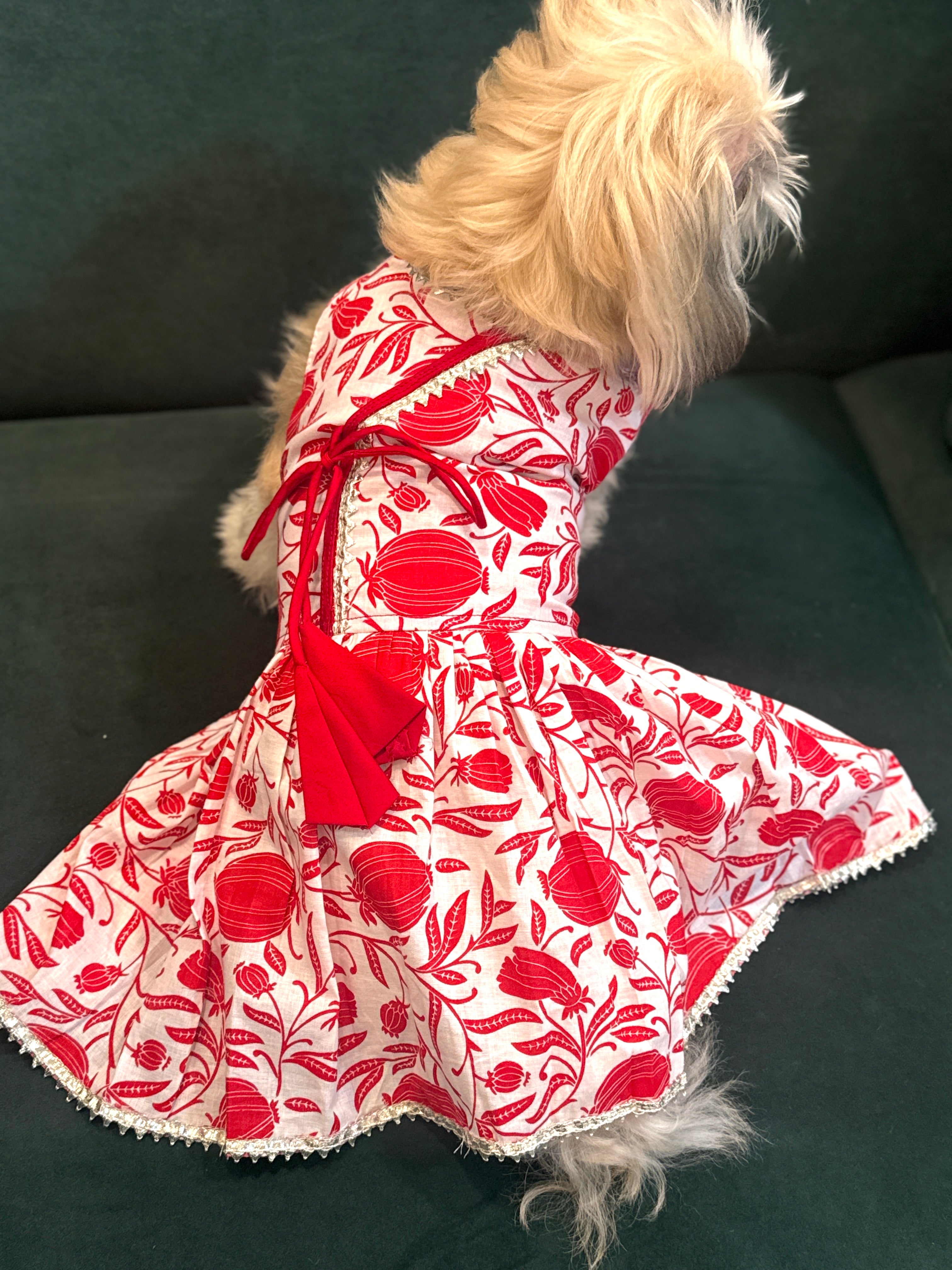 Taamara agrakha dress