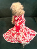 Taamara agrakha dress