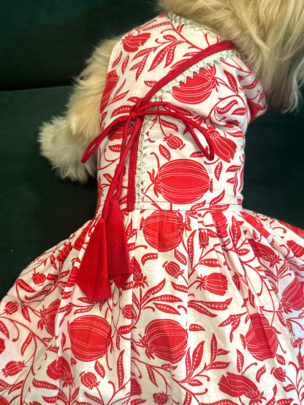 Taamara agrakha dress