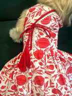 Taamara agrakha dress