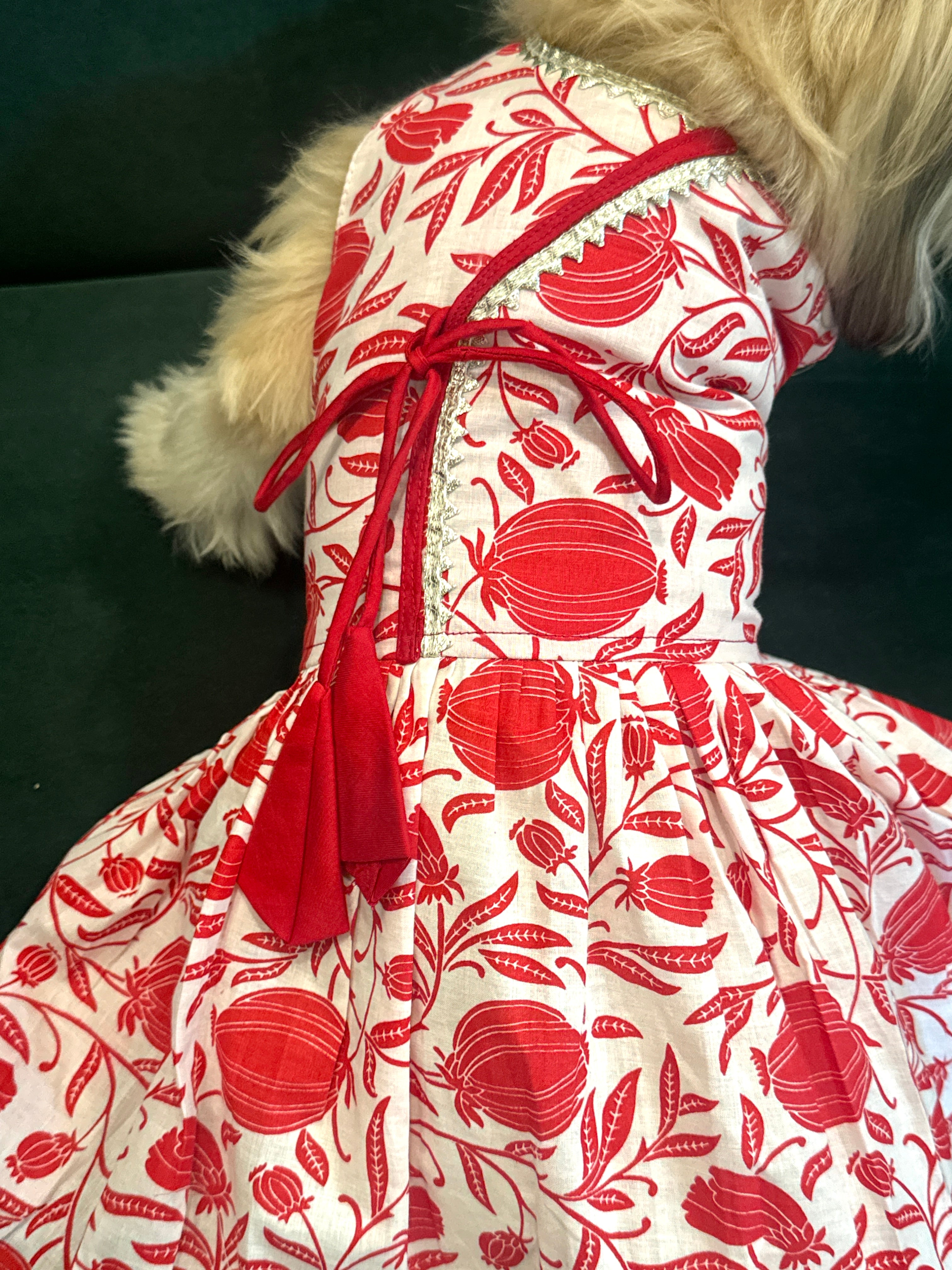 Taamara agrakha dress