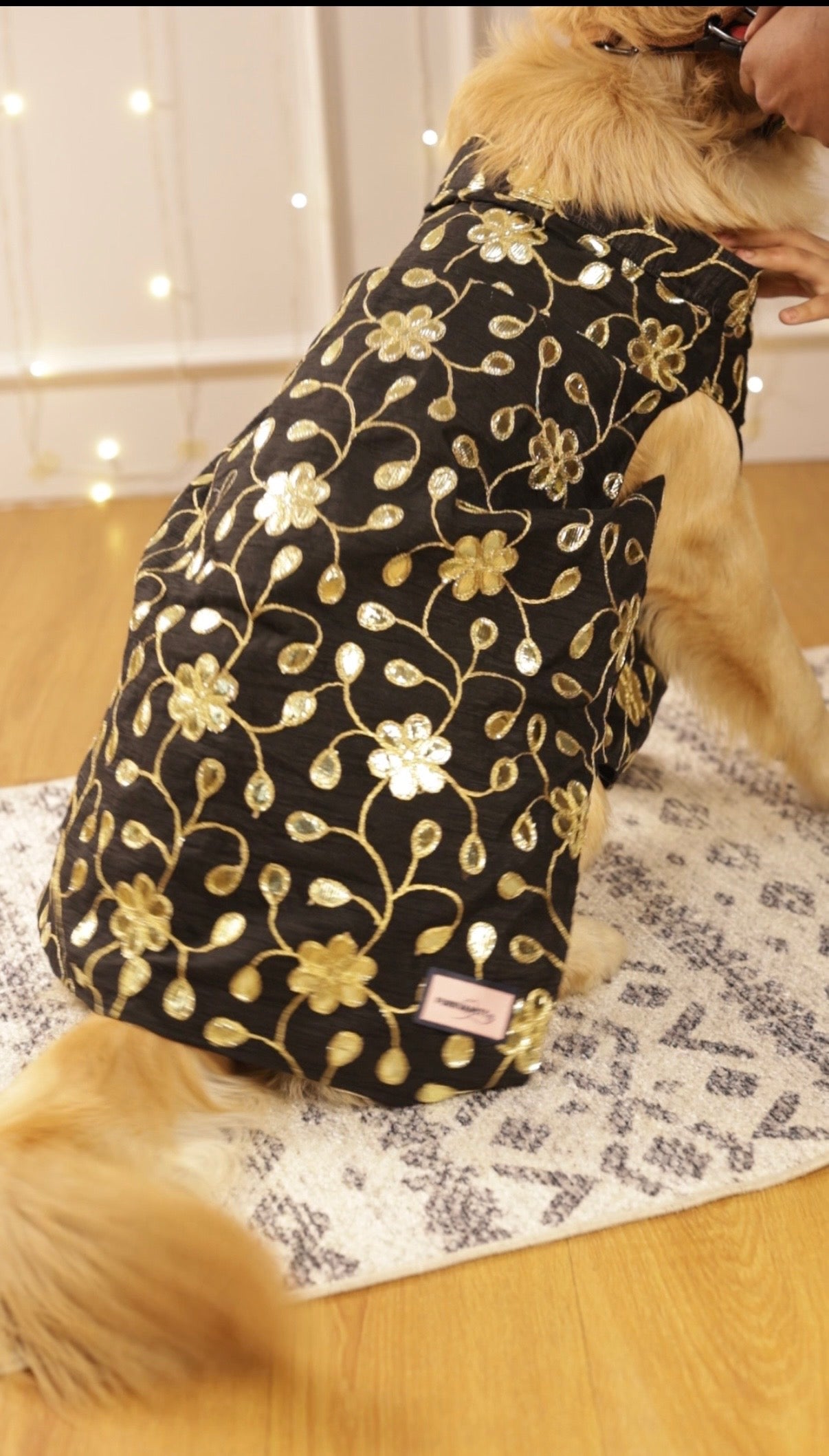 Black shahi gul sherwani