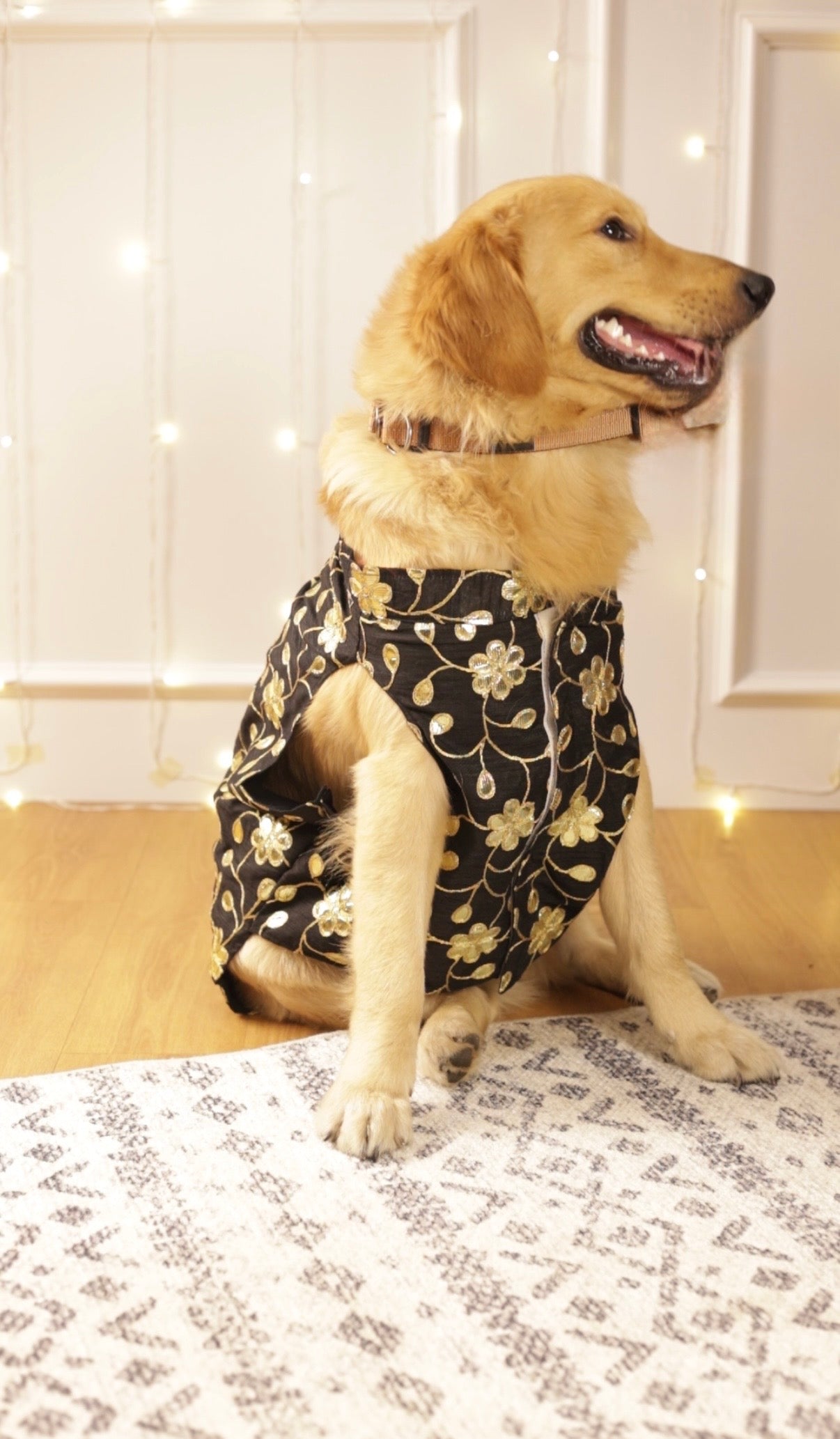 Black shahi gul sherwani