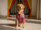 Pink Rangrez kurta