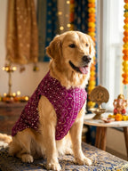 Rajsi Chikankari Sherwani