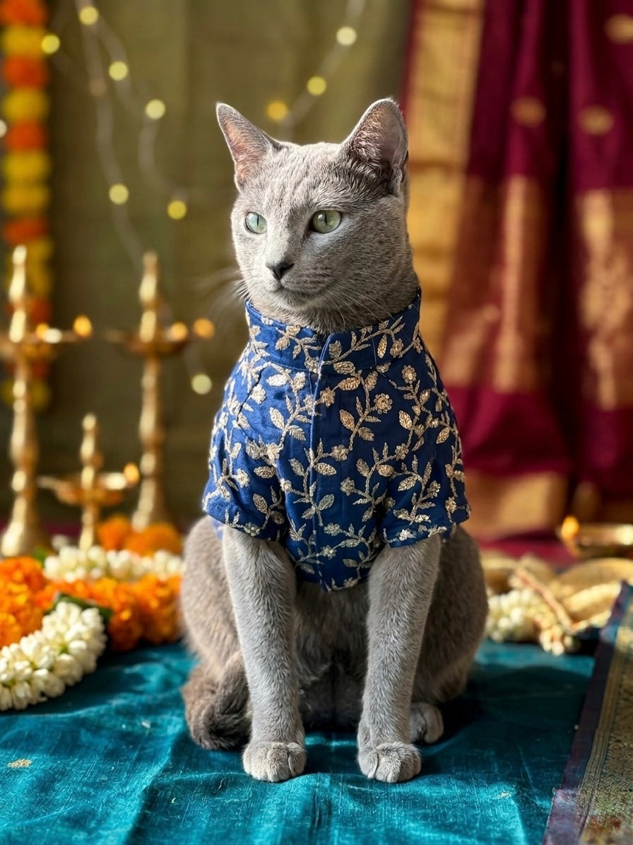 Neelkanth Sherwani