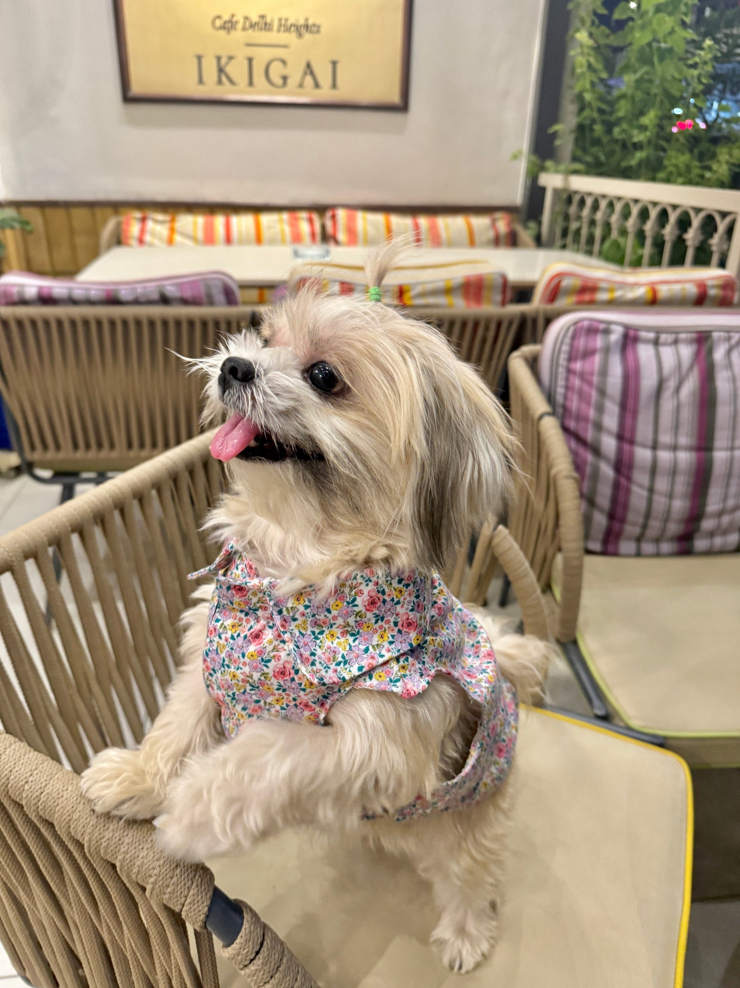 Floral shirt