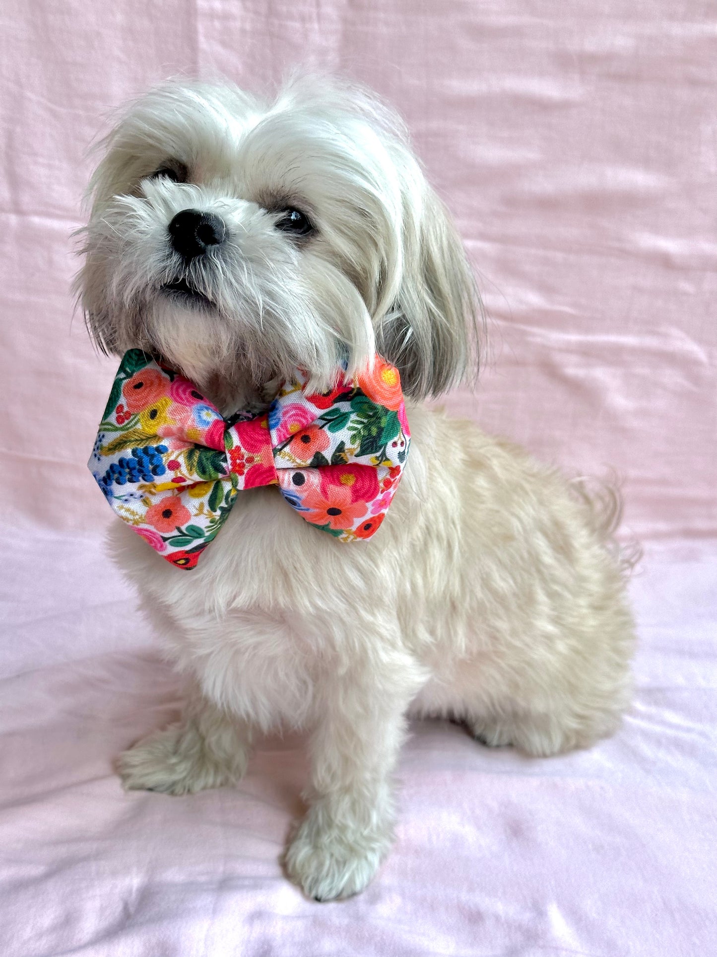 Floral Bow & Collar