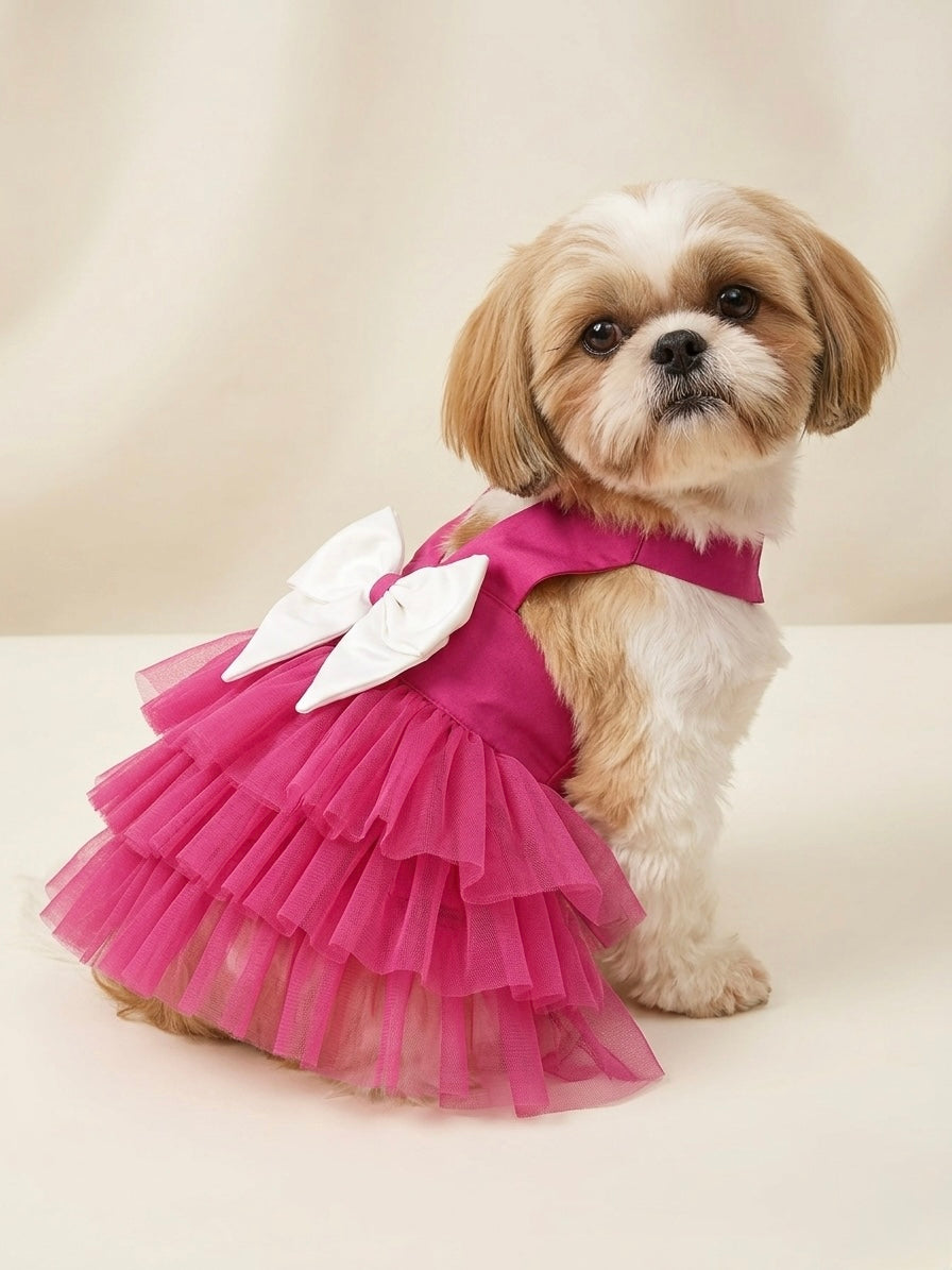 Hot pink tutu dress