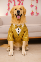 Golden Sequins Tuxedo Shirt