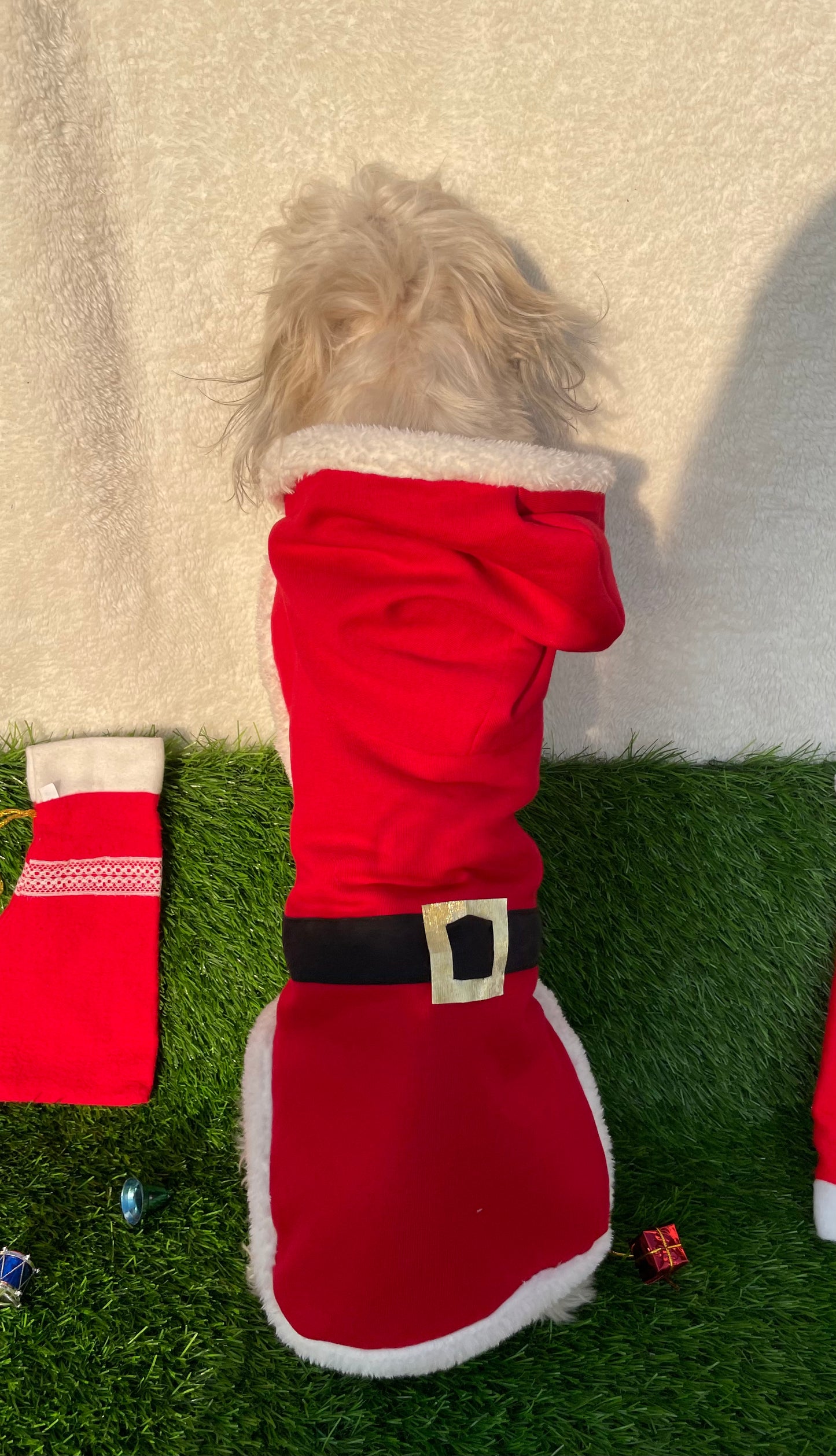 Santa coat