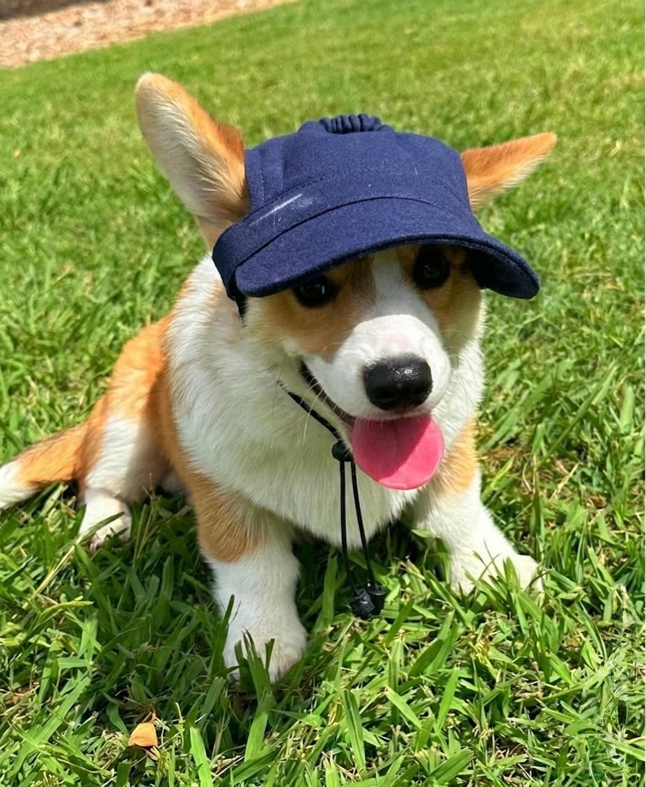 Denim Cap