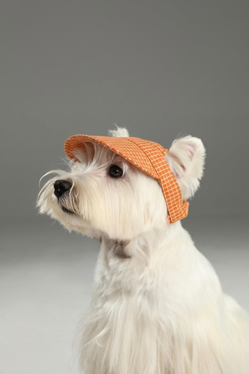 Orange checks cap