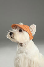 Orange checks cap