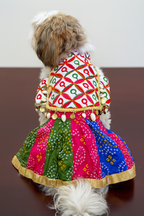 Bandhani chaniya choli