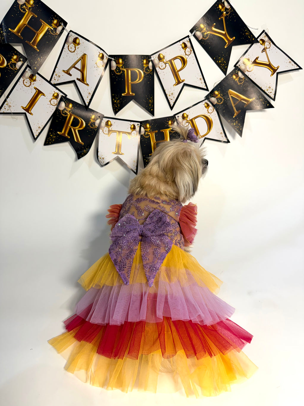 The Sunset gown