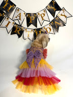 The Sunset gown