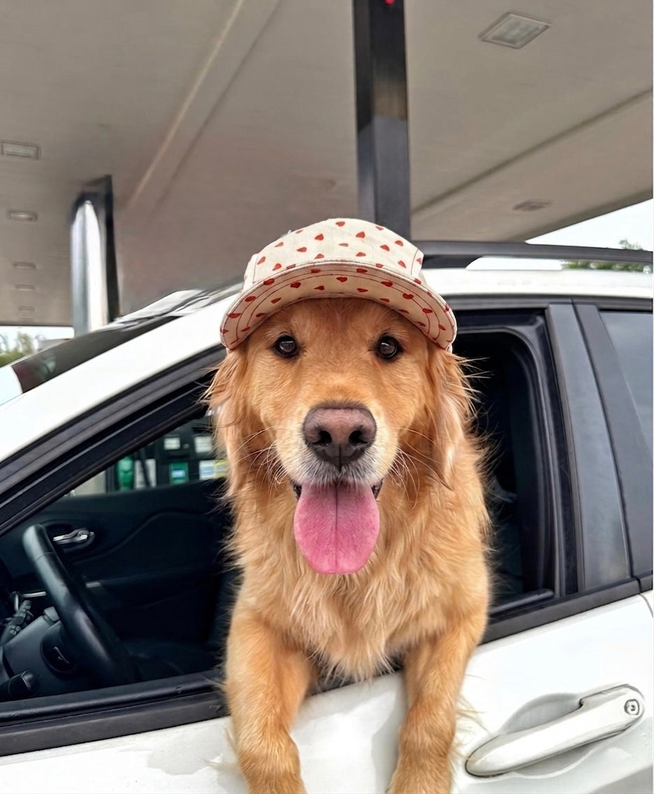 Love hearts cap