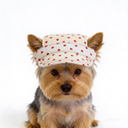 Love hearts cap