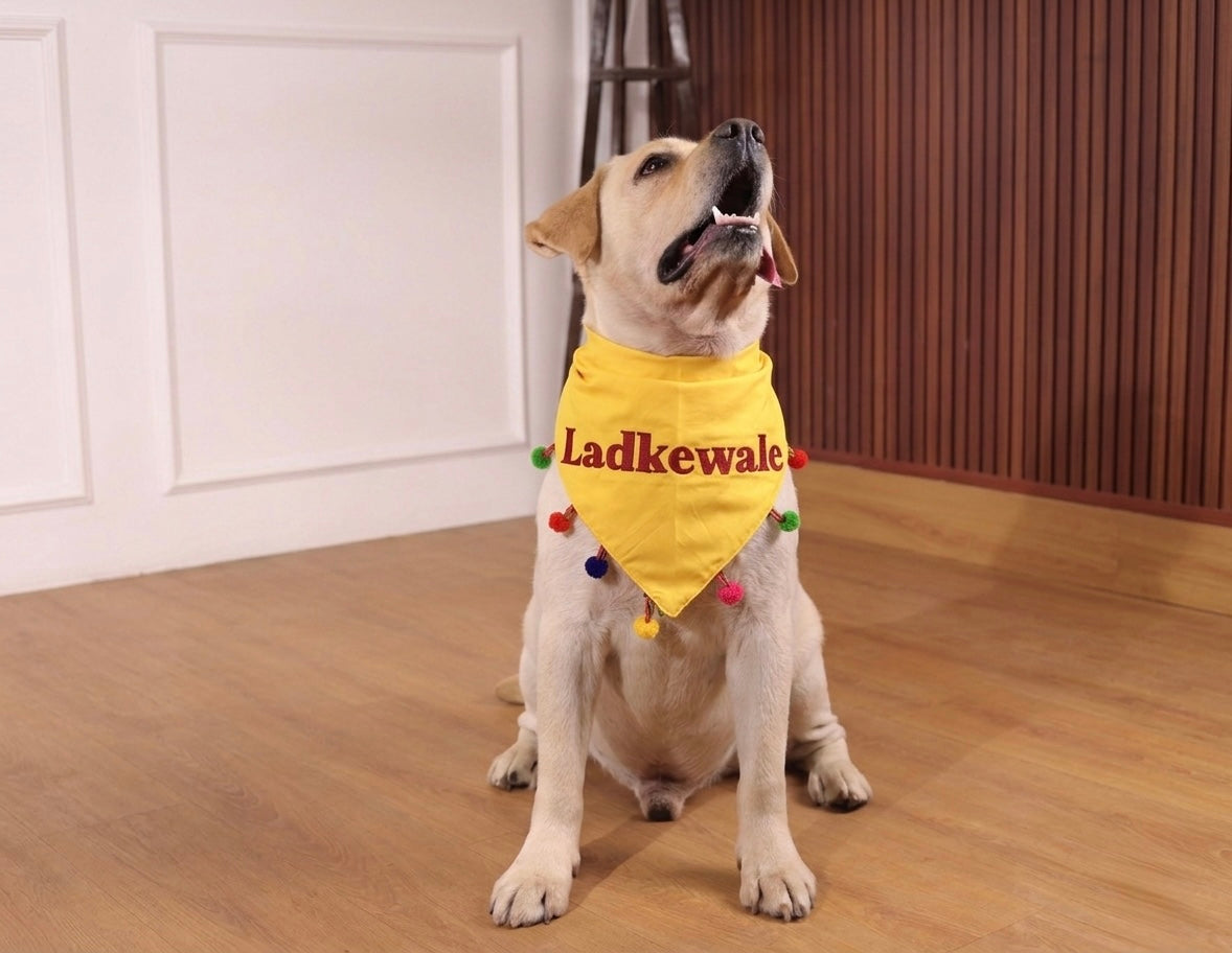 Ladkiwale/Ladkewale lace bandana