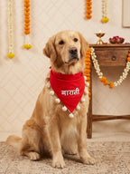 Baraati Bandana