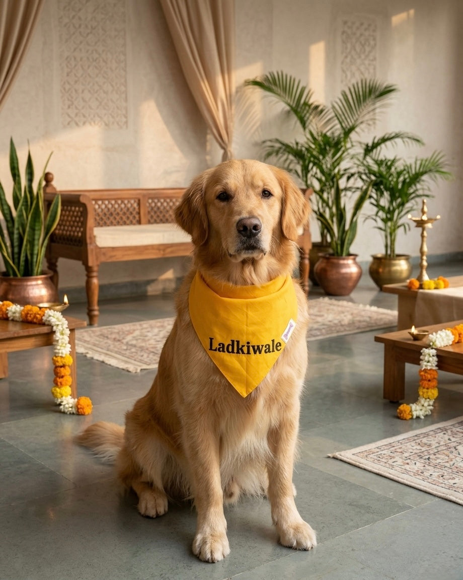 Yellow Ladkiwale/ladkewale bandana