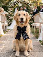 I do too bow