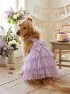 Lilac tutu dress