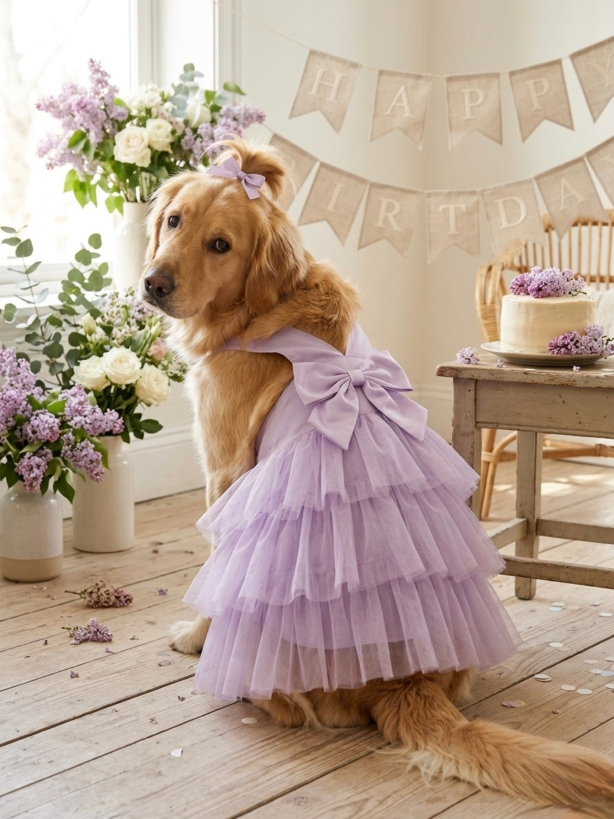 Lilac tutu dress