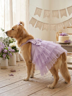 Lilac tutu dress