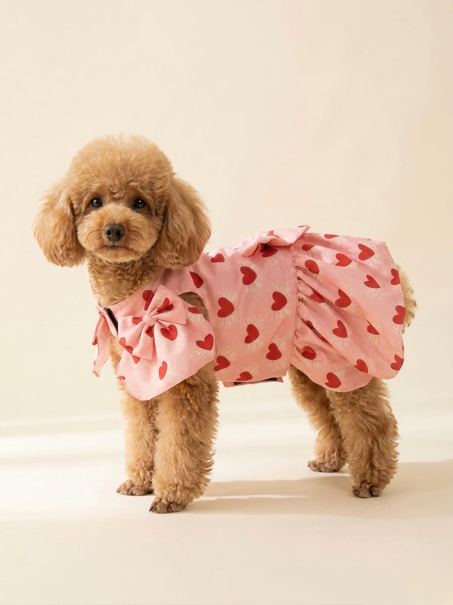 Sweet heart dress