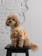 The Tulip shirt