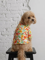 The Tulip shirt