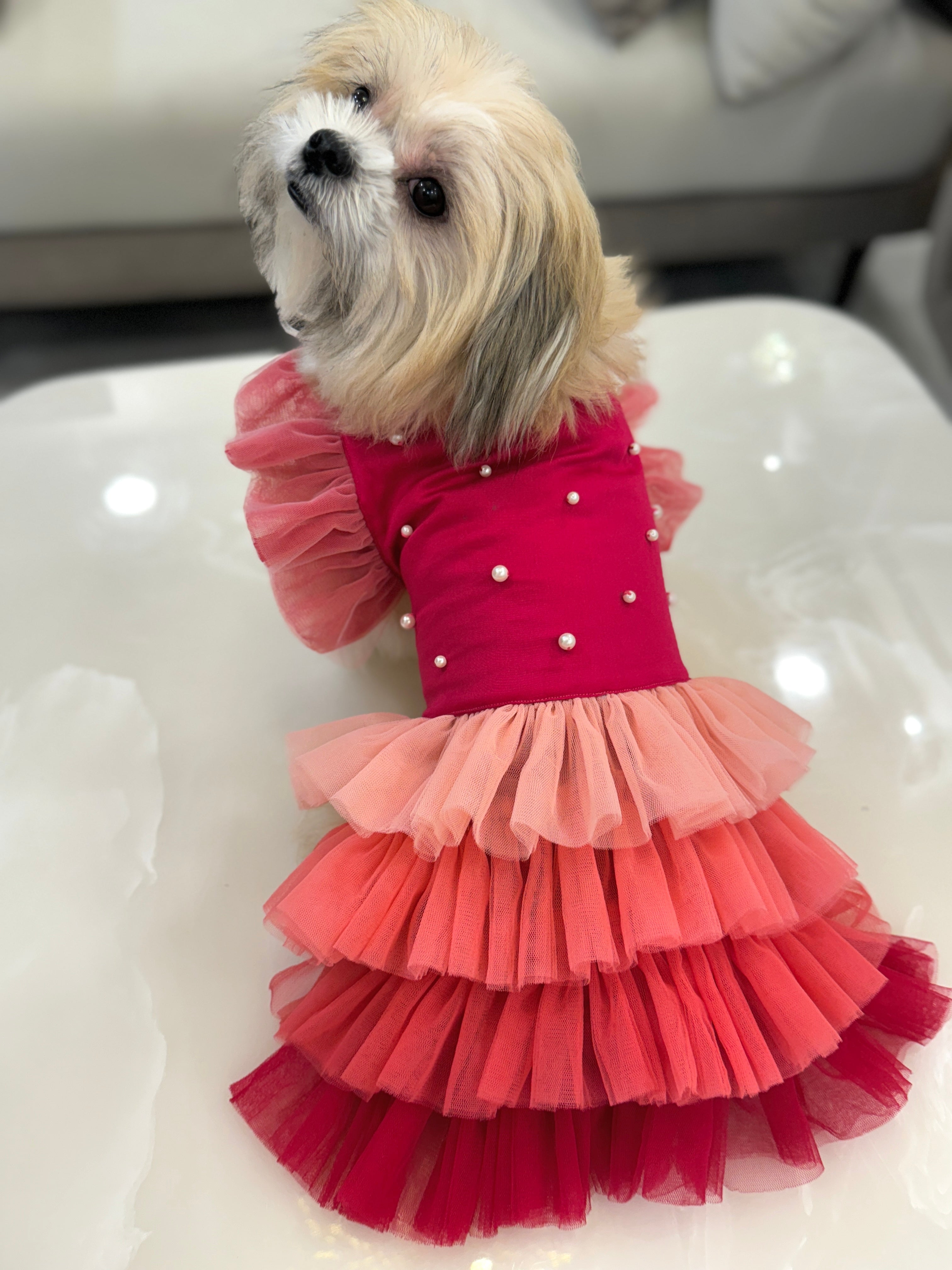 Dresses tagged "BIRTHDAY DRESS" Furrvanity Dresses tagged "BIRTHDAY DRESS" Furrvanity