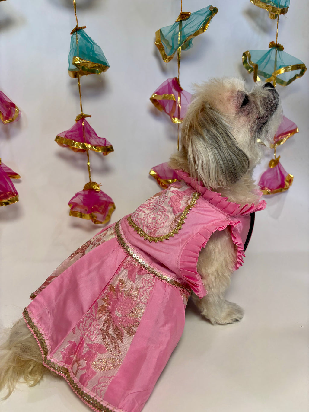 Pink brocade anarkali