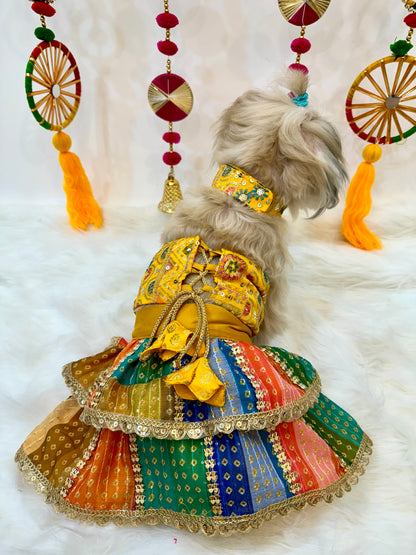 Multi colour lehenga choli