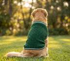 Dark green cable knit sweater