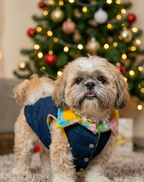 Colourful Fur Denim Hoodie