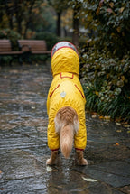 The Duckling raincoat