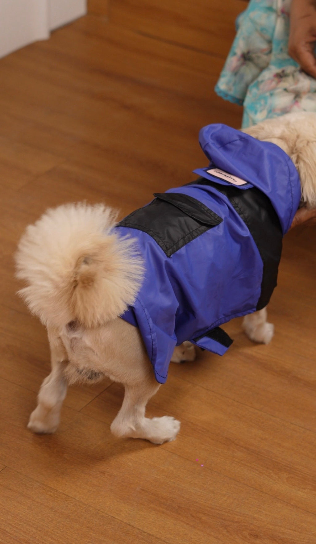 Blue Breeze raincoat